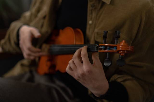 Violinista Bologna