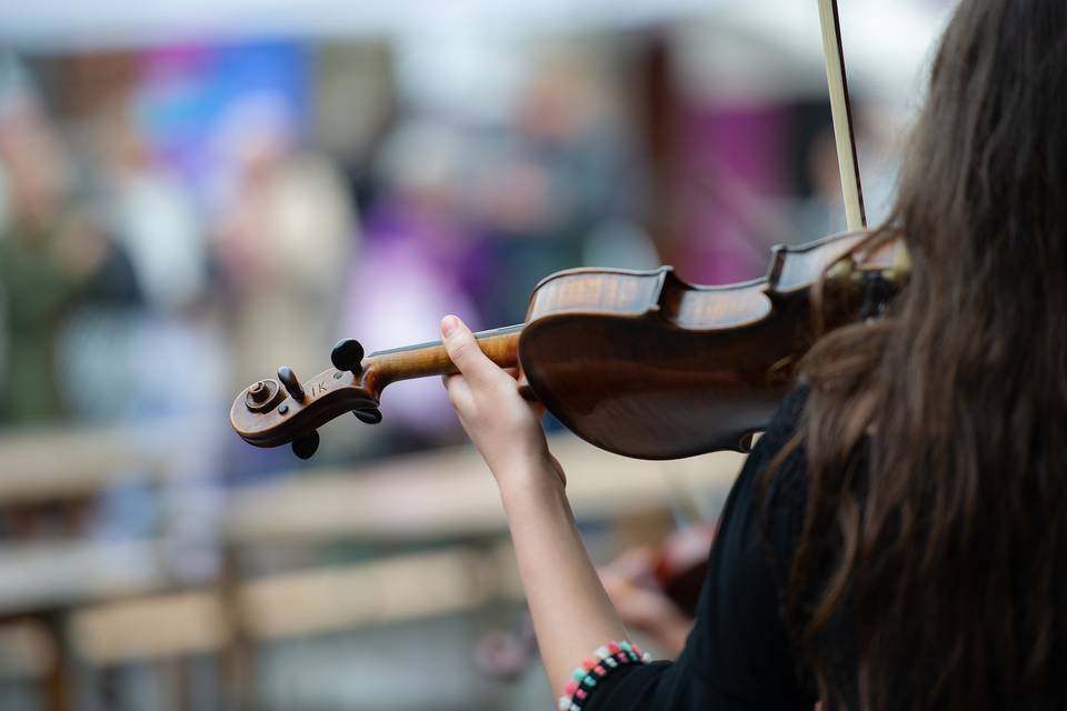 Violinista Bologna