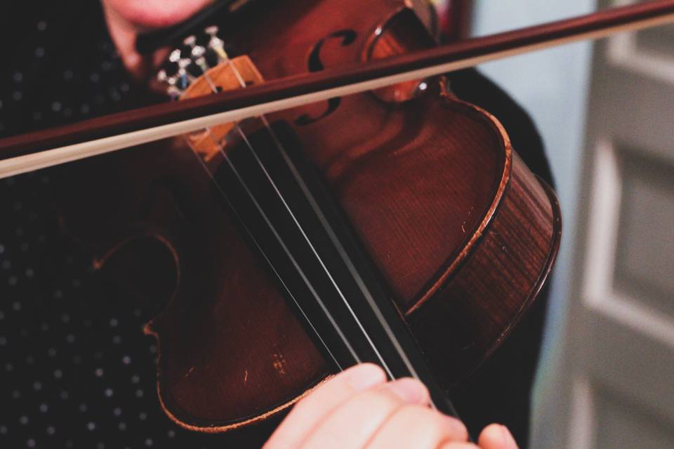 Violinista Bologna