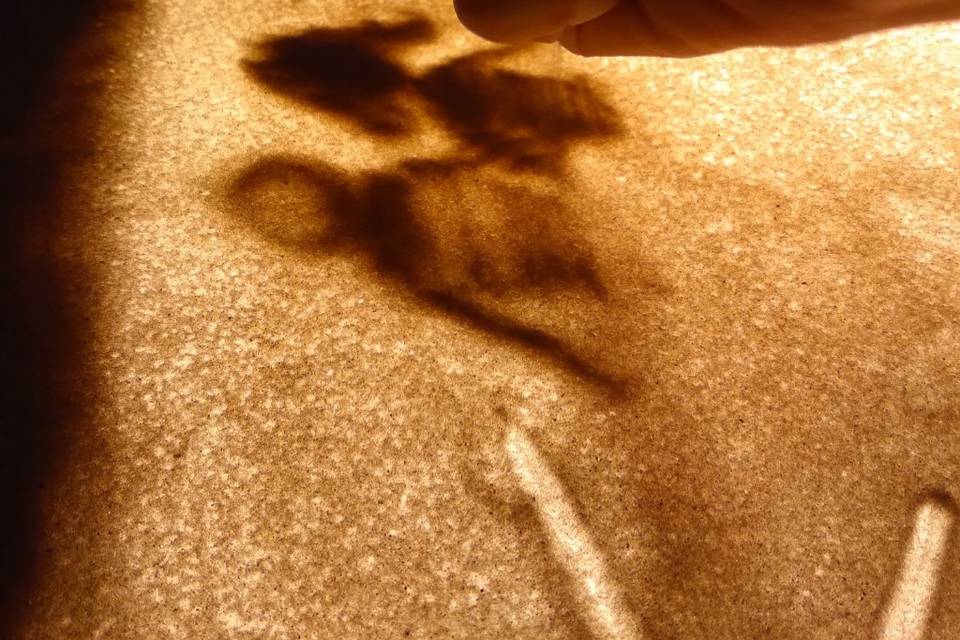 Gloria Nani Spettacoli di Sand Art