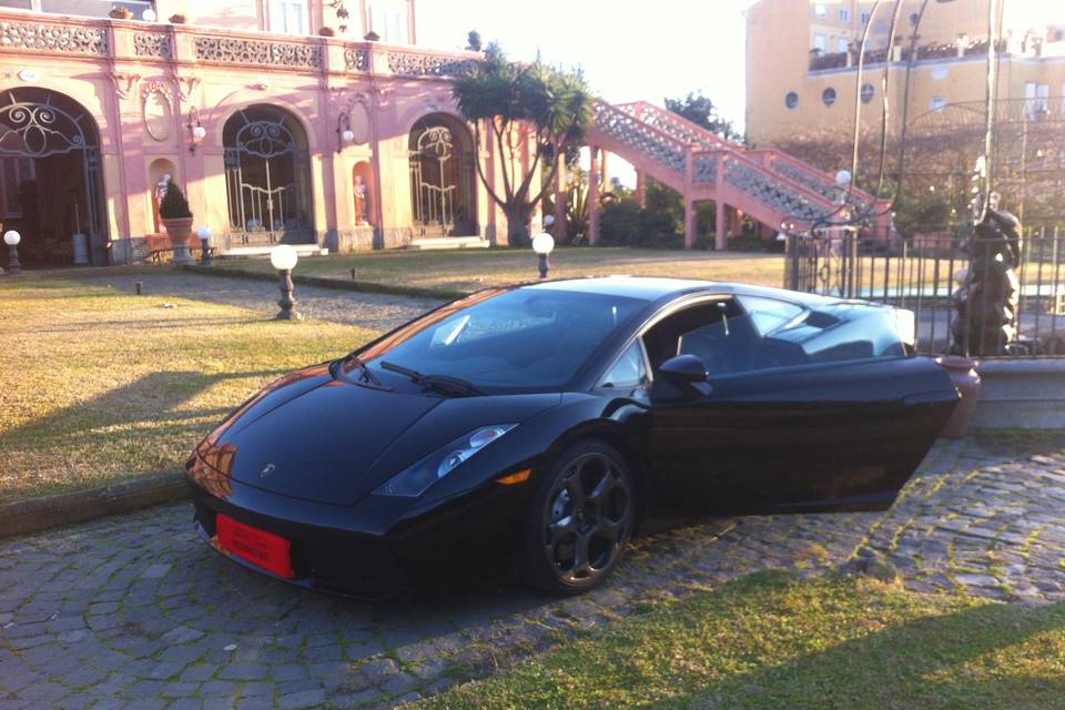 Gallardo2