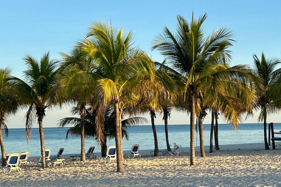 Bahamas Sea View