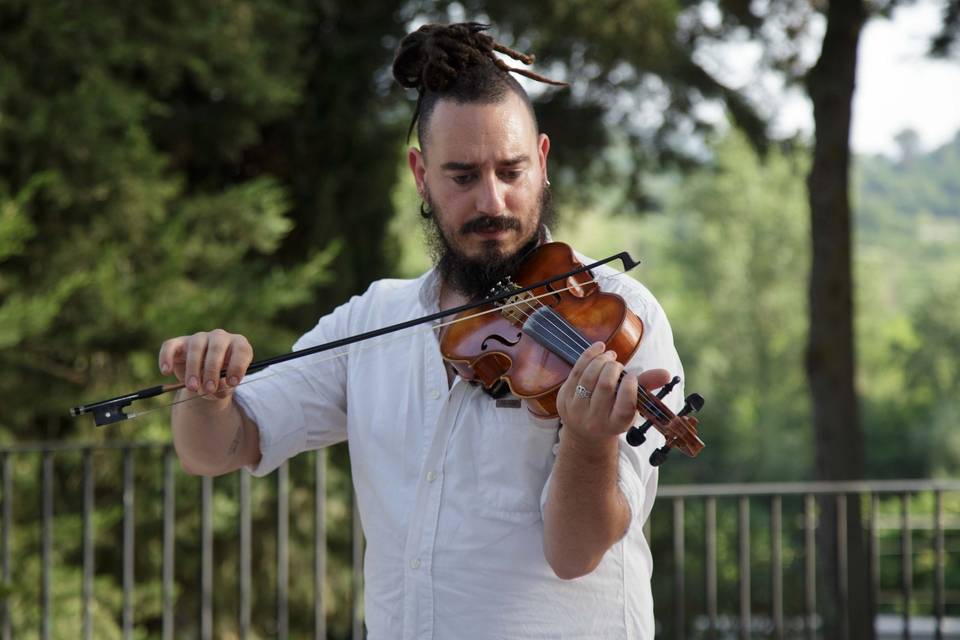 Violino