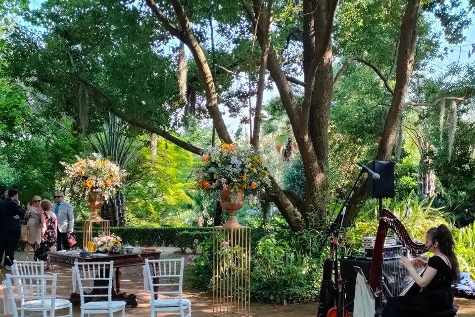 Arpa Solista Handfasting
