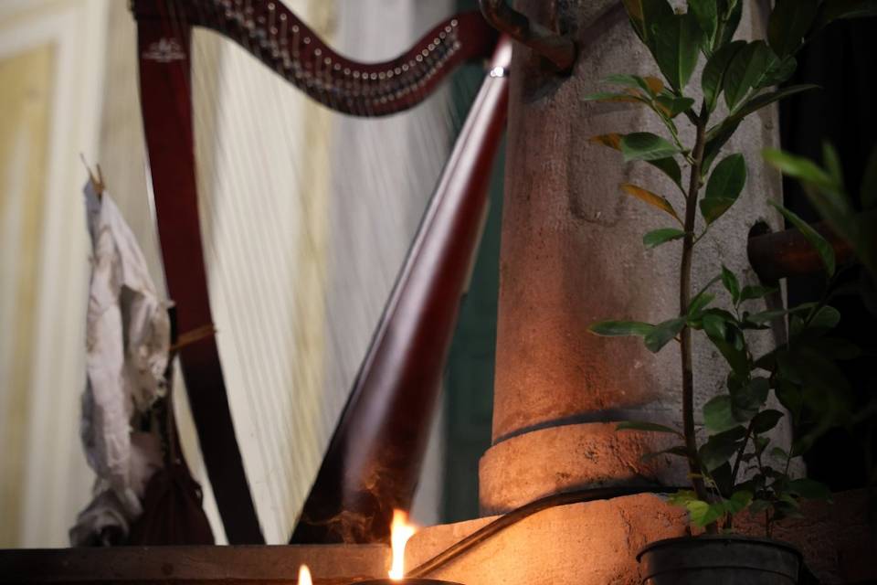 Arpa Rievocazioni