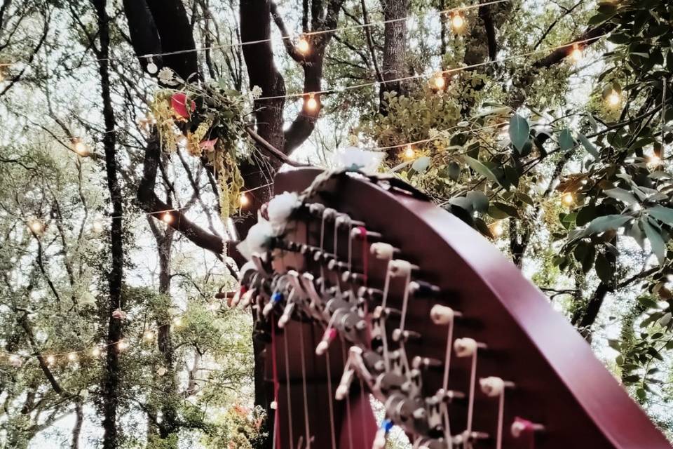Arpa Solista Handfasting