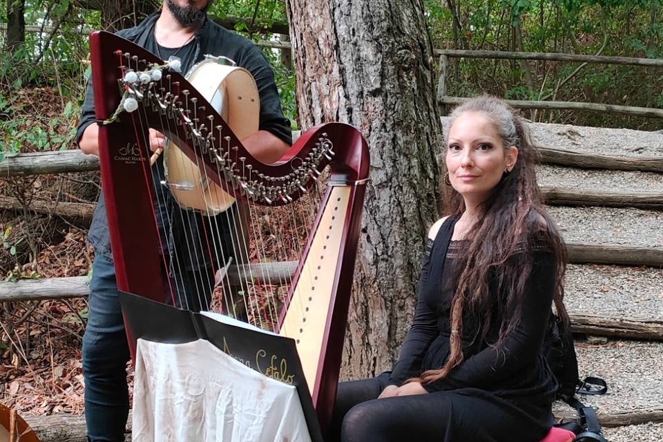 Duo Handfasting