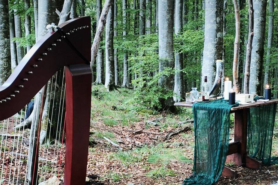 Duo Handfasting