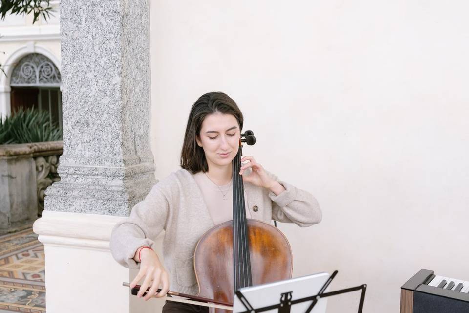 Violoncello