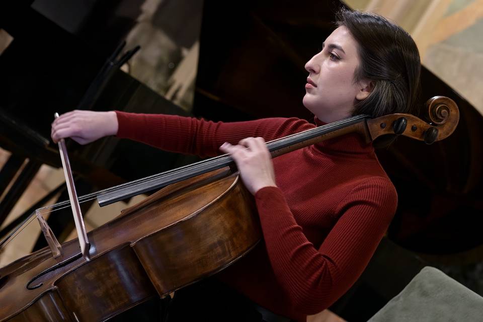Violoncello