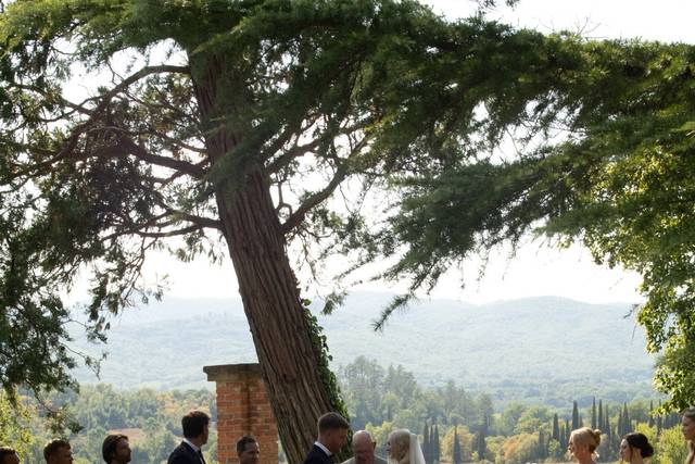 Wedding Day
