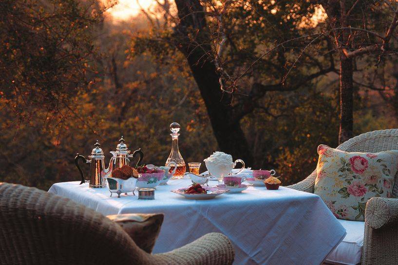 Tea Time al Kruger Park