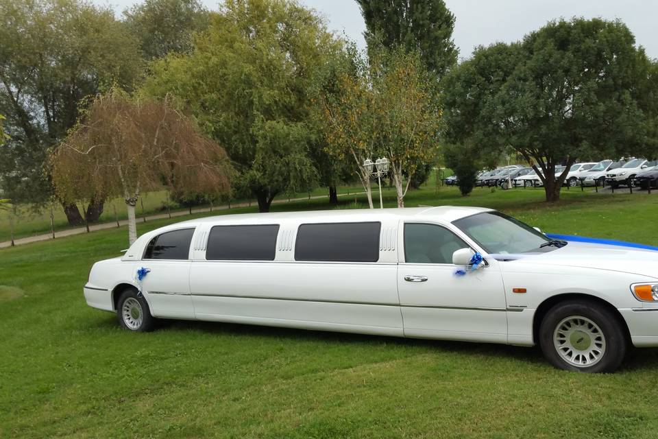 Torino in Limo