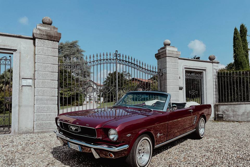 Ford Mustang Cabrio '67