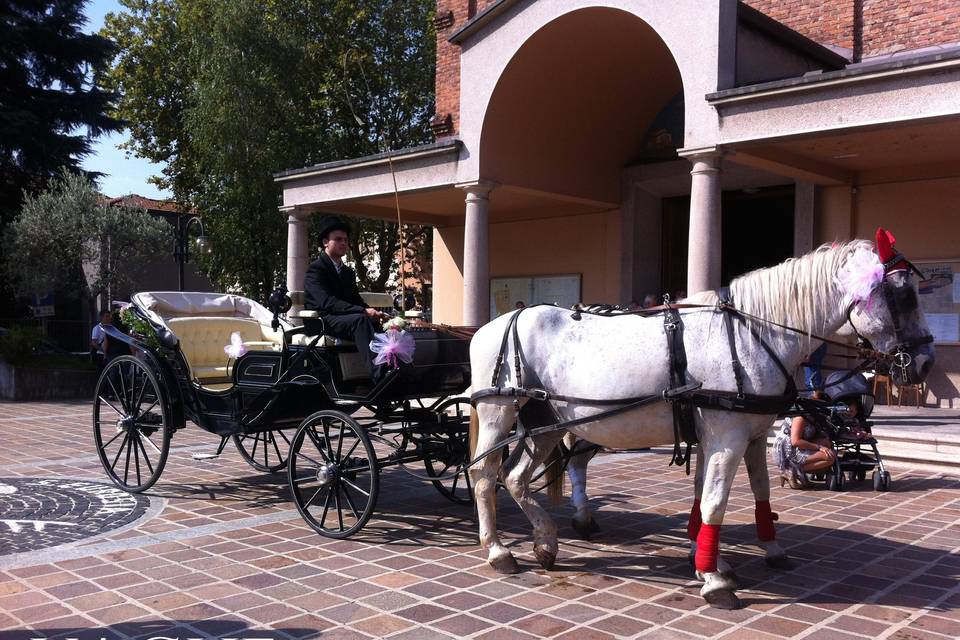 Carrozza Classica Blu