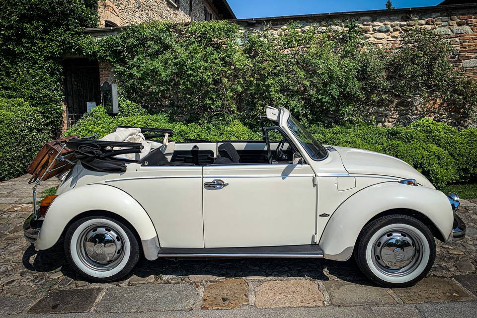 VW Maggiolino Cabrio