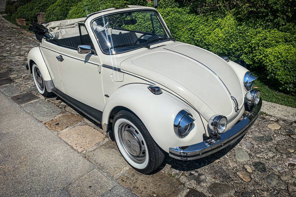 VW Maggiolino Cabrio