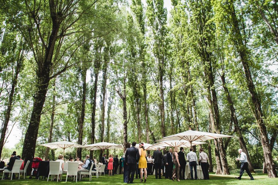 Lilli's Wedding