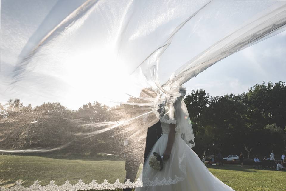 Lilli's Wedding