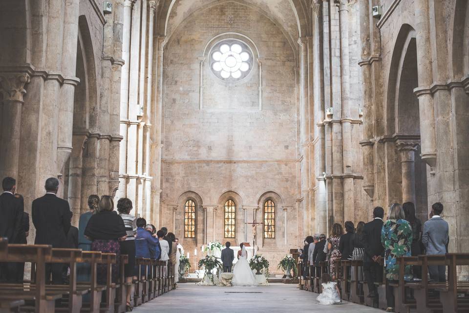 Lilli's Wedding