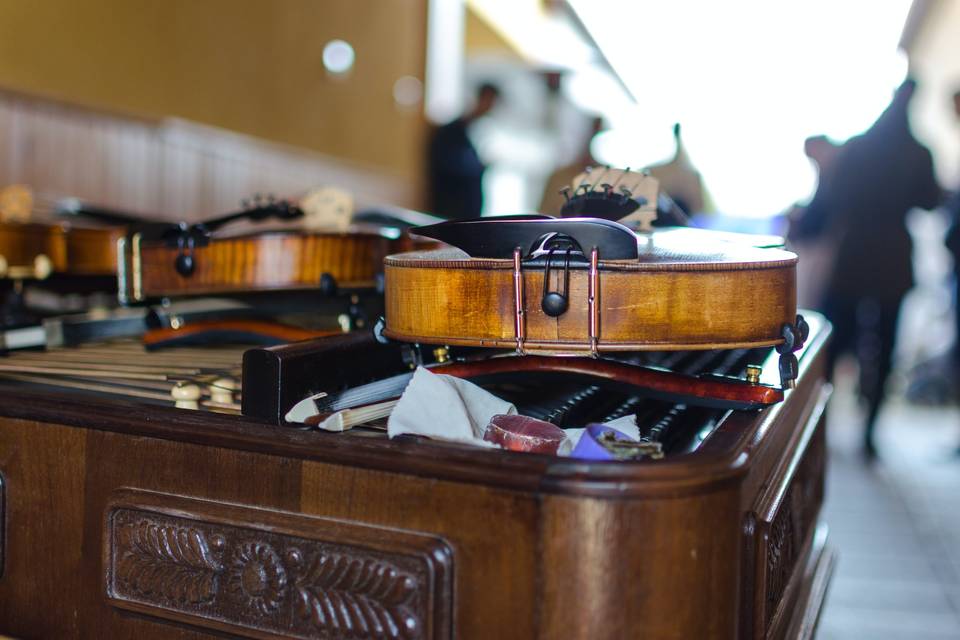 Violinista matrimonio Torino