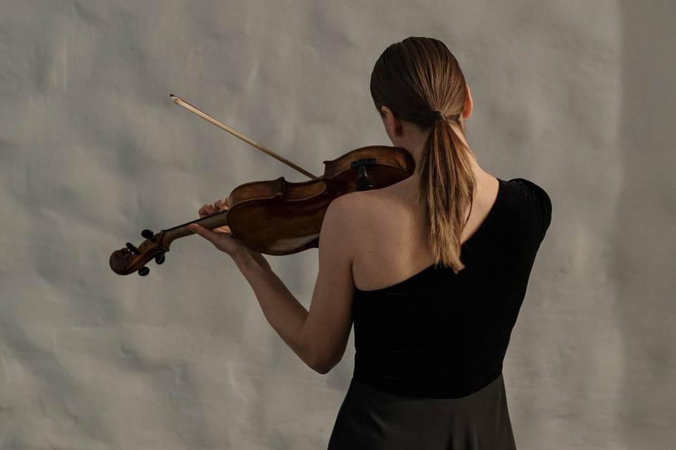 Violinista Torino