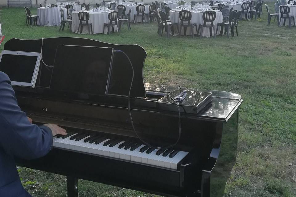 Pianista  Torino