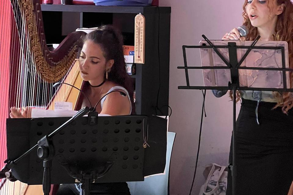 Duo arpa e voce