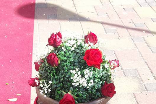 Anfore e rose rosse