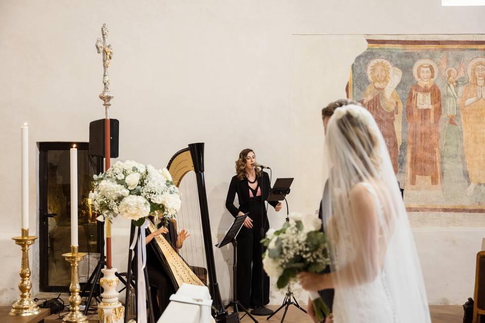 Duo arpa e voce