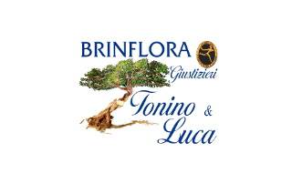 Brinflora