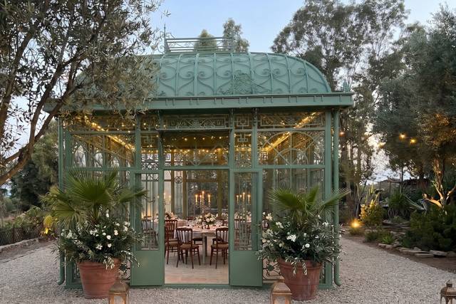 The Olive Grove