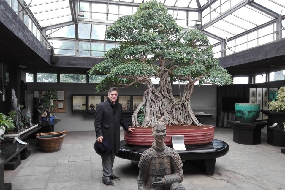 Patnership con Crespi Bonsai