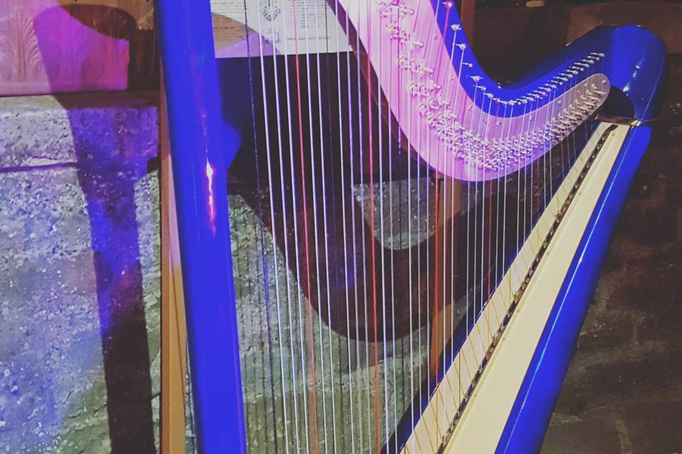 New's elettroacustic harp