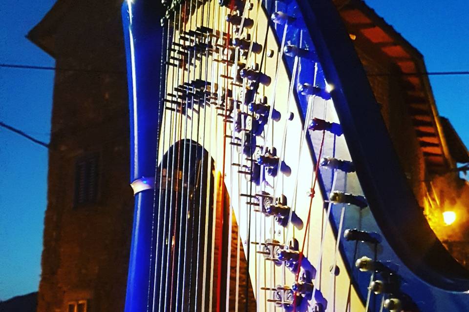 New's elettroacustic harp