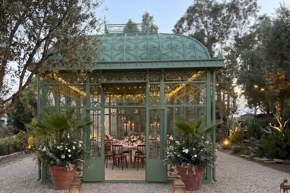 The Olive Grove