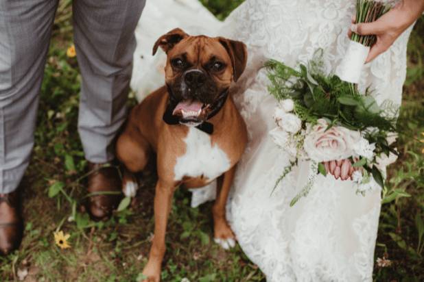 Un matrimonio da favola