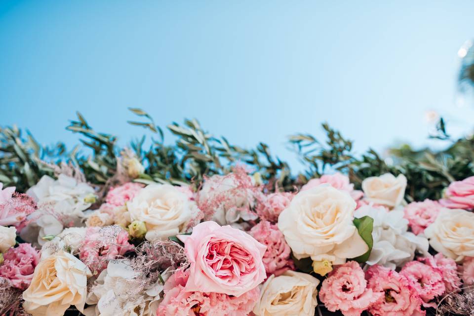 Dama Fiori