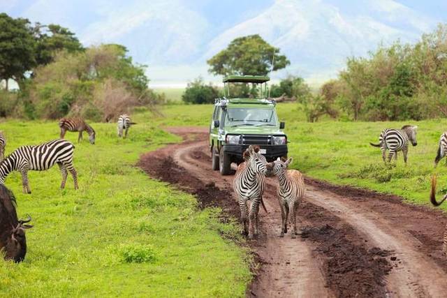 Safari Tanzania