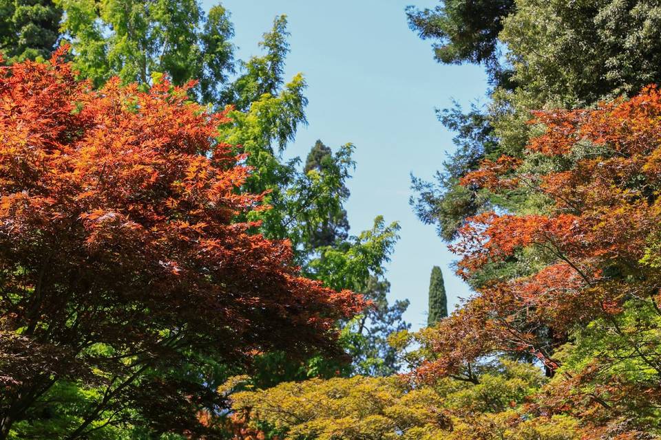Villa Melzi 18