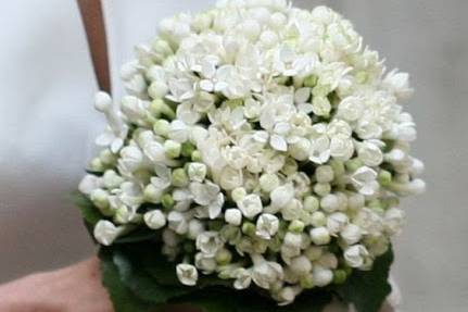 Bouquet sposa con bouvardia