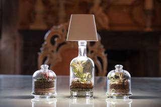 ArTerrarium di Fabio Guidorossi