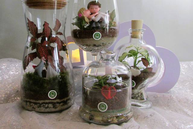 Mix Terrarium