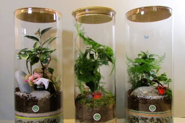 Mix Terrarium