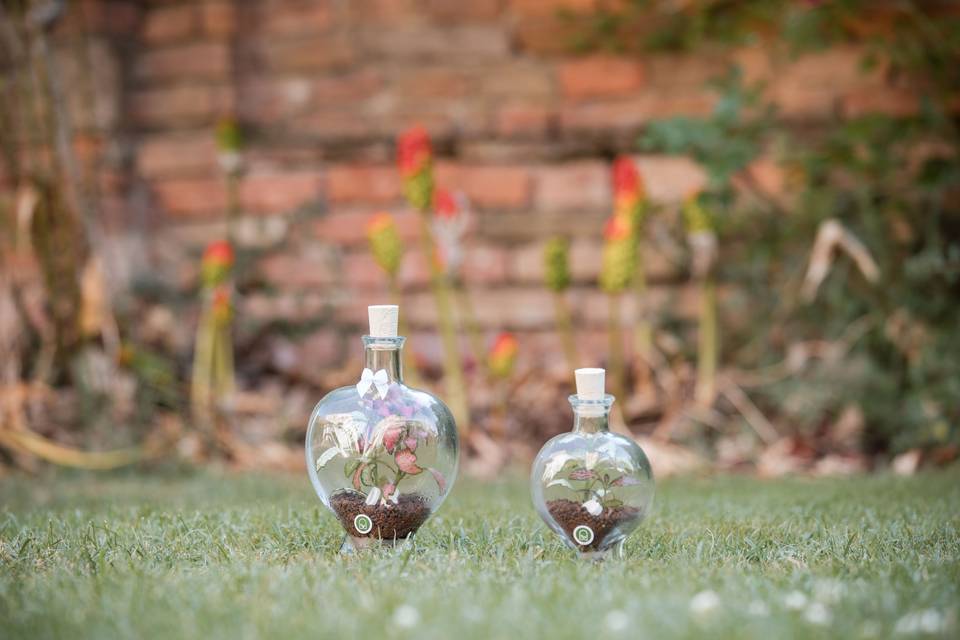 Giardino del Cuore