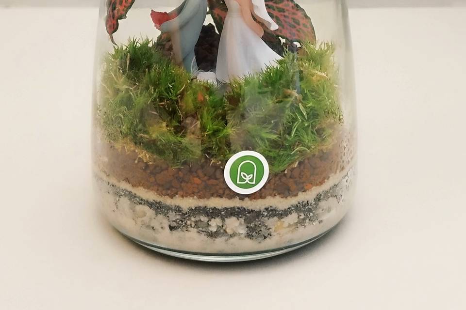 Pianeta Terra