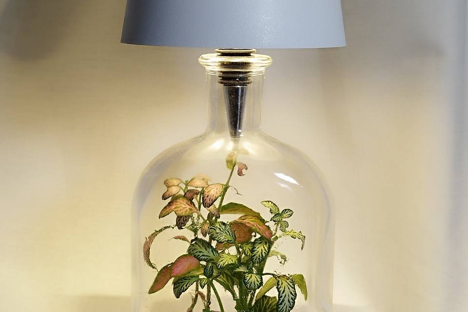 Lampada