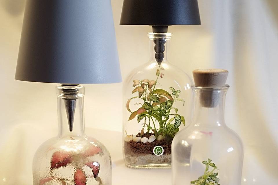 Lampada