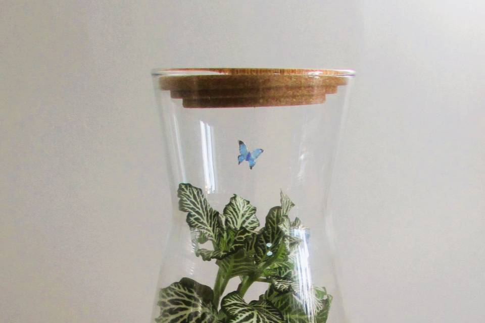 Pianeta Terra