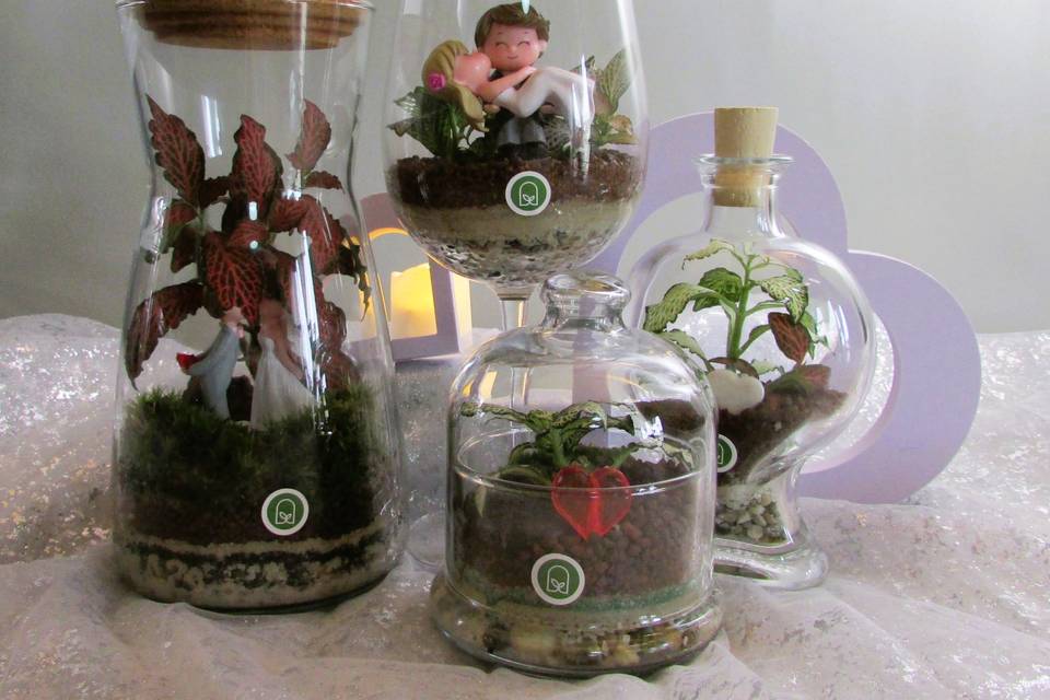 Mix Terrarium